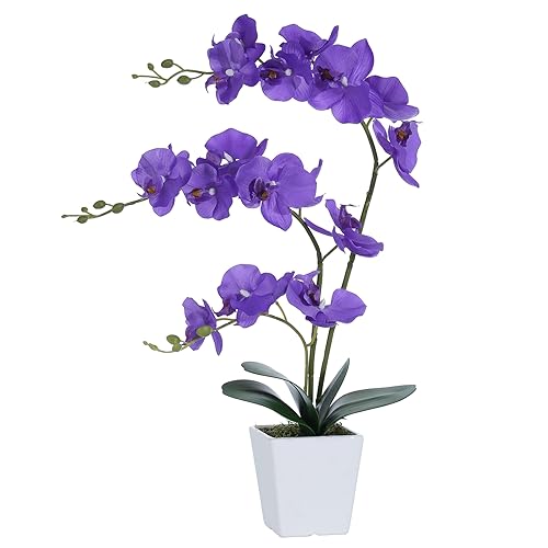 Faux Orchid in Vase Large Artificial Orchid in Ceramic Vase Silk Orchids with Stems Real Look Potted Phalaenopsis Flowers Arrangement Centerpiece Table Decorations for Home Decor Indoor, Purple - color: Y-purple