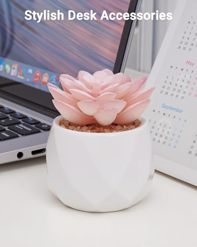 VIVERIE Mini Succulents Plants Artificial in Pots-Rose Pink, Christmas Small Fake Succulents Plants for Home Decor Indoor for Women, White Ceramic Faux Succulents, Set of 1, Gifts for Mom - color: Pink-1 Pack