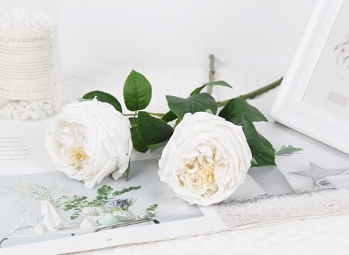 IPOPU White Roses Artificial Flowers,5PCS Real Touch Austin Roses Faux Peony Flowers Stems for Wedding Bouquet Party Home Decor(White) - color: White