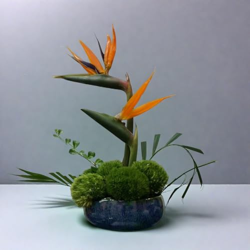 Water Lotus Bowl Planter Kit - Japanese Compote Bowl Ikebana Vase Set w/ 1.8" Floral Frog- Ideal for Ikebana, Flower Arrangement & Hydroponic Planting (Blue) - color: Blue