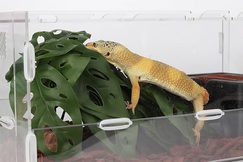 Reptile Plants for Terrarium, Ball Python Tank Decor Accessories fit Bearded Dragon Crested Leopard Gecko Lizard Chameleon Snake Frog Tortoise Hermit Crab - Fake Swiss Cheese Plants - color: B-fake Swiss Cheese Plants