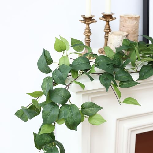 mizii 5 Pack 365" Artificial Scindaps Vines Garland Fake Vine with Silk Green Leaves Faux Hanging Plants Greenery Decoration for Bedroom Wall Party Wedding Room Home Decor - color: Scindapsus