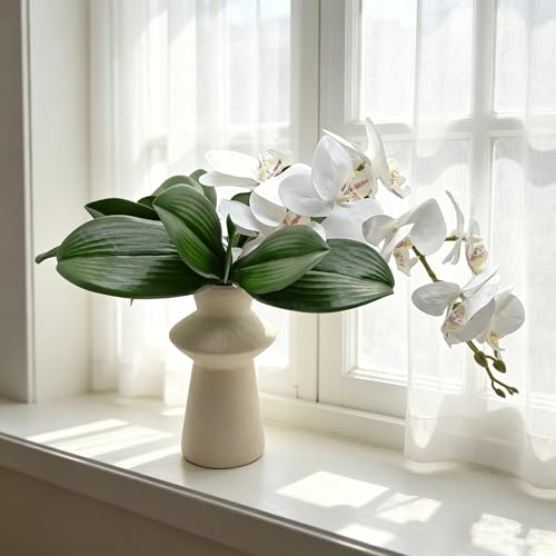 M2cbridge Artificial Green Orchid Leaves Phalaenopsis Stems Real Touch for Flowers Arrangements Pot Decor(10",2pcs) - color: 10",2pcs