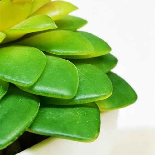 Artificial Succulent Plants in Pot - 1Pcs Small Water Lotus Realistic Fake Potted Succulents for Home Decor, Desk, Office, Bathroom, Windowsill - Indoor Houseplant for Bedroom, Kitchen, Shelf - color: Small Water Lotus