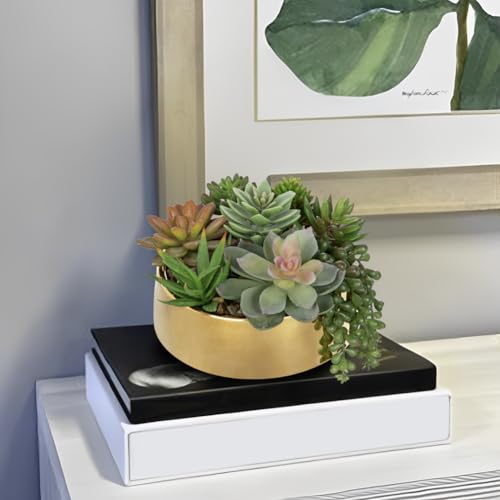 DILATATA Artificial Succulent Plants in Pot 5.5 Inch Fake Succulents Arrangement Potted Plant in Gold Ceramic Planter Bowl for Home Office Desk Shelf Living Room Bedroom Bathroom Decor - color: Gold Ceramic#style 2
