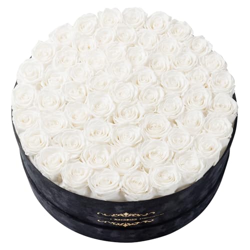 Gifts for Women – NATROSES 60 Preserved Roses in Luxury Black Velvet Box, Preserved Flowers for Delivery Gift for Her, Elegant Rose for Birthday, Mother’s Day, Christmas (White) - color: White, size: 60 Roses