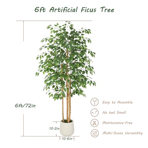 Bellacat 6ft Artificial Ficus Tree with White Decorative Planter & Multiple Real Wood Trunks, 72in Fake Ficus Tree with Lifelike Leaves, Faux Ficus Tree for Living Room Bedroom Office Decor - color: White Decorative Planter, size: 6ft