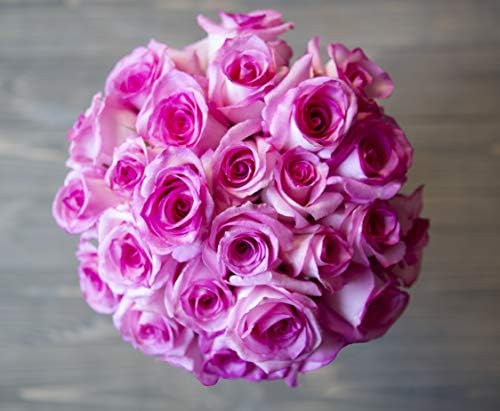 25 Pink Roses | Arabella Bouquets | Real Fresh Flowers for Delivery, Gift for Birthday Women, Congratulations, Anniversary, Thank You, Mother's Day - color: Pink, size: 25 Stems