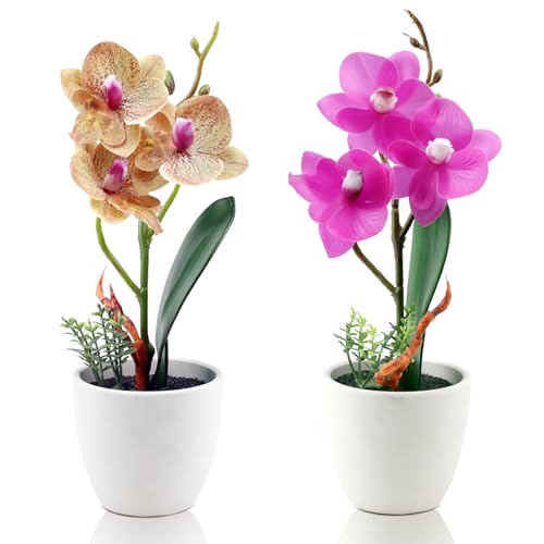 2Pcs Artificial Flowers Fake Orchid Phalaenopsis Small Potted Plant Ceramic Vase for Home Decor Bathroom Office Desk Wedding Decoration(Purple & Brown) - color: Purple & Brown