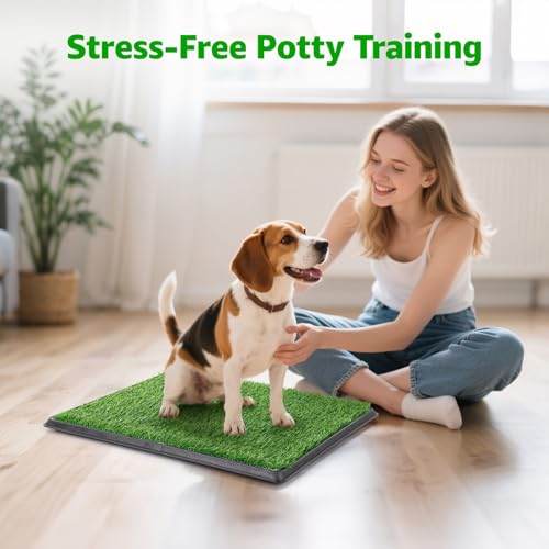Portable Dog Grass Pad with Tray 20''x25'': Dog Litter Box with Artificial Grass Patch Bathroom Mat & Washable Pee Pad for Puppy Potty Training, Pet Loo Indoor Outdoor Use for Patio Balcony Apartment - size: 20"x25"（4 Layer Potty System)