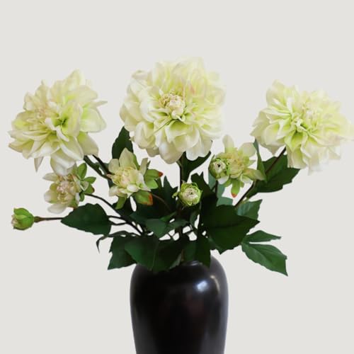 KBREE Real Touch Dahlia Artificial Flowers, 3 Pcs, 24.3” Long Stem Faux Dahlias in Natural Tones, Large Flowers Stems for Wedding Bouquet DIY, Table Centerpiece & Home Office Decor (Light Green) - color: Light Green