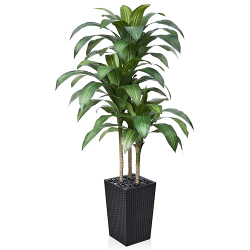 VeriNatural 5FT Artificial Dracaena Tree - UV Resistant Faux Tropical Plant, Potted Fake Tree with Taper Planter & Pebbles - Indoor Outdoor Greenery for Home, Porch, Living Room, Bedroom Decor, VN127 - color: Black, size: 5ft