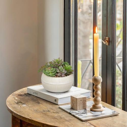 DILATATA Artificial Succulent Plants in Pot 5.5 Inch Fake Succulents Arrangement Potted Plant in White Ceramic Planter Bowl for Home Office Desk Shelf Living Room Bedroom Bathroom Decor - color: White Ceramic#style 3