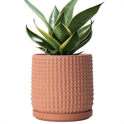 D'vine Dev 6 Inch Terracotta Beaded Planter Pot - Flower Pot with Drainage Hole and Saucer for Indoor Succulent Plants or Flowers, Terracotta, 27-C-X-7 - color: Terracotta, size: 5.8 Inch