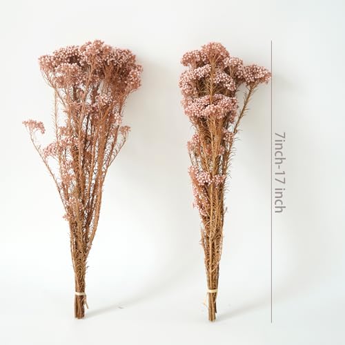 Natural Preserved Millet Flowers Dried Bouquet Flowers and Plants Arrangements for Home and Wedding Decoration (Sunglow Pink) - color: Sunglow Pink