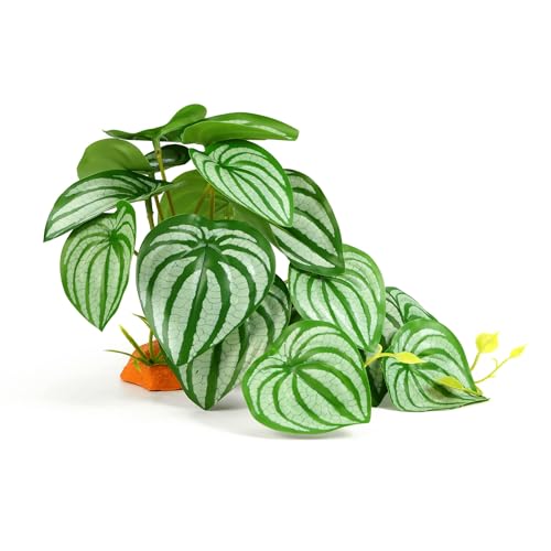 Reptile Plants for Terrarium, Amphibian Habitat Decor Plant, Artificial Plants for Gecko Lizard Chameleon Ball Python Snake with Base，Bearded Dragon Tank Decorations - Fake Calathea Orbifolia - color: Fake Calathea Orbifolia