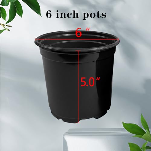 RAOOKIF 100 Pack Nursery Pots, 6 Inch Plastic Plant Pots with Drainage Holes, Black Garden Flower Pots for Transplanting, Succulents, Cuttings, Seedlings (6inch,100pcs) - size: 6 Inch