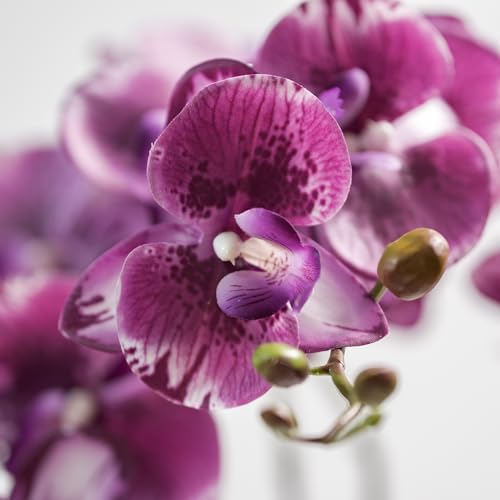 DUYONE 35 Inch Artificial Butterfly Orchid Flowers 4 Pcs Soft Touch Orchid Fake Phalaenopsis Flowers Stem Plants for Wedding Home Decoration (Deep Purple 4pcs) - color: Deep Purple Flowers 4pcs