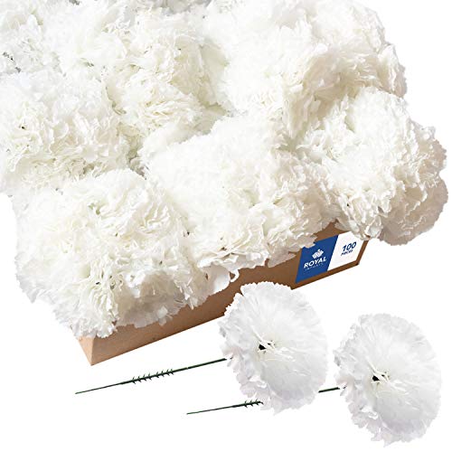 Royal Imports Artificial Carnations, Silk Faux Flowers, for Funeral Arrangements, Wedding Bouquets, Cemetery Wreaths, DIY Crafts - 100 Single 5" Stems - White - color: White