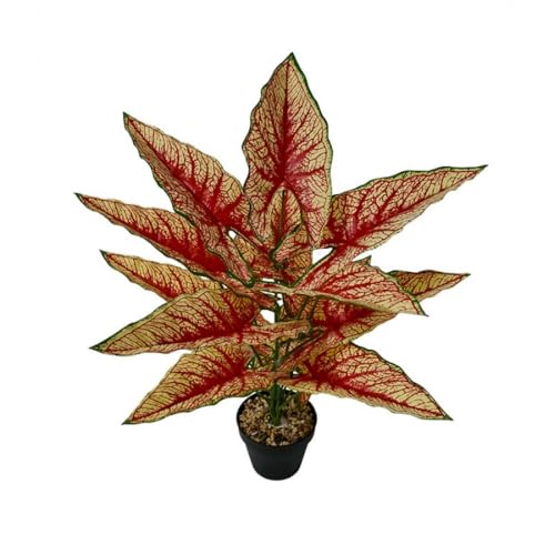 Aglaonema Plant with Variegated Green and Red Leaves, Fake Tree Leaf Simulation Flower Bonsai for Party Decoration Artificial Plants Floor Home Room Decor Ornament (Red No Flowerpot, 60cm) - color: Red No Flowerpot, size: 60cm