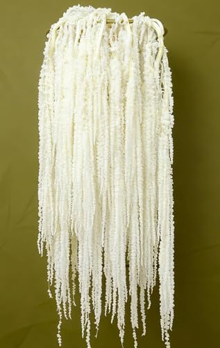 7Pcs Dried Amaranthus Hanging Flowers - 23" Ivory White Preserved Amaranthus for Wedding Arch, Table Centerpiece, Home Decor, Boho Party Arrangement - color: 7pcs Ivory White