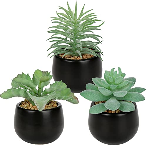 Briful 3PCS Artificial Succulents Fake Plants Mini Succulents Potted in Black Ceramic Pots Artificial Plastic Plants for Home Office Desk Farmhouse Bathroom Décor - color: Type #2