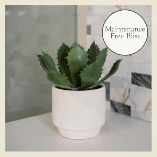 CG Hunter Round Faux Succulent Arrangement, Set-of-2 Premium Artificial Indoor Plants Enhances Interior Design, Display on Any Surface in Your Home Adding an Inviting Touch of Nature, Pots Included - size: 10" Set-of-2