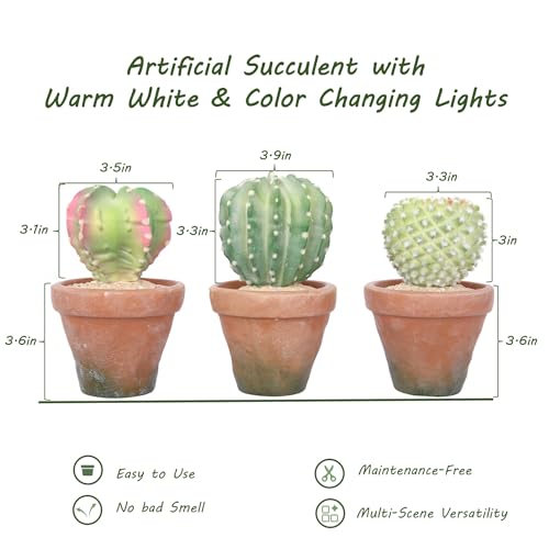 bellacat Fake Succulents with Warm White & Color Changing Lights, 6.7in Lifelike Artificial Succulent Plants, Faux Succulents Light Up Plants for Desk Shelf Living Room Bedroom Decor, Set of 3 Shape - color: Succulent B-3.6in Pot
