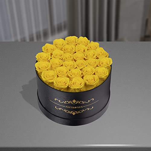 NATROSES Gifts for Her 27 Piece Forever Preserved Roses in a Box, Preserved Flowers for Delivery Birthday, Flowers Gifts for Mothers Day, Yellow - color: Yellow, size: 27 Roses
