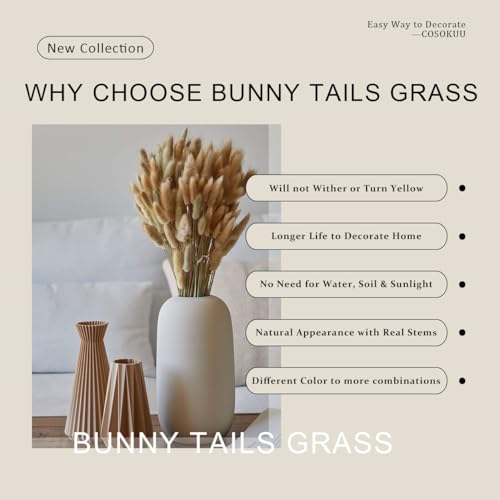 Bunny Tails Dried Flowers 100pcs Dried Pampass Grass Decor Bunny Tail Floral Stems 17 Inch Dried Flowers for Boho Decor Home Wedding Decoration Plants (Natural) - color: Natural