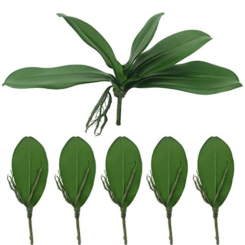 Tinsow Artificial Green Phalaenopsis Simulation Moth Orchid Leaf Real Latex Touch Green Plant for Flowers Garden Bonsai Decor (5, 9.5"/5 Leaves)