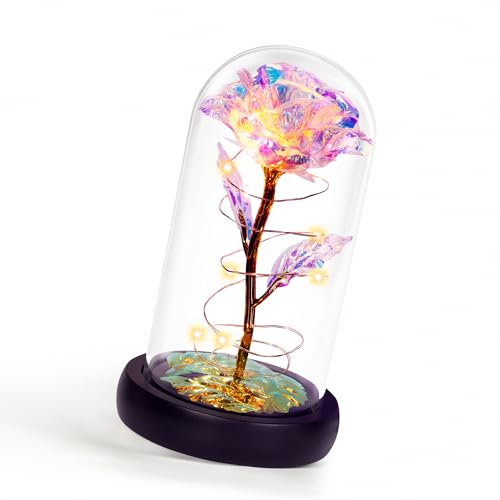 Childom Mothers Day Flowers Gifts for Mom Grandma,Birthday Gifts for Women,Valentines Gifts for Her,Mom,Women,Wife,Grandma,Light Up Rose in Glass Dome,Colorful Rainbow Mothers Day Flowers for Delivery - color: Rainbow Medium