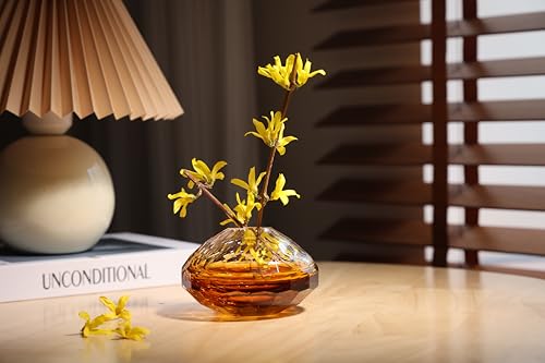YAOYUAN Hand Blown Glass vase - Elegant Bud vases for Console Table Decor, Muti-Faceted,Beautiful Blown Glass Decor & Diffuser, Perfect Home Decoration (Middle) - size: middle