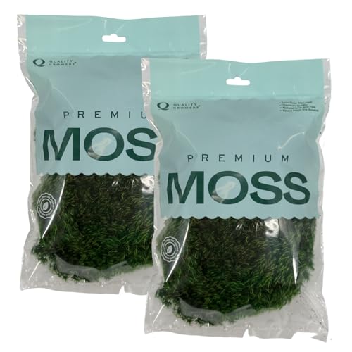 Preserved Mood Moss - Premium Decorative Moss for Crafts, Home Décor, Art, Design & DIY Projects - Real Moss- Non-Toxic - USA-Made- Natural Green, Medium 2-Pack - color: Mood Moss, size: Medium (2-Pack)
