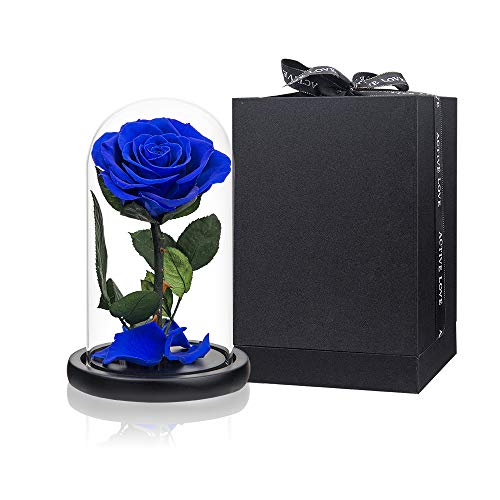 Preserved Roses Royal Blue Roses in Glass Dome, Medium, Preserved Flowers for Women - color: Royal Blue, size: Medium