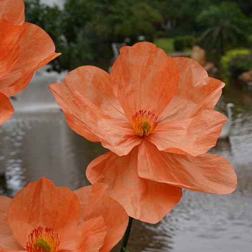 Large Paper Artificial Flowers,Giant Flowers for Decoration,Huge Handcrafted Poppy Fake Flowers with Stand for Home Decor Bridal Shower Party Outdoors Yard Event Backdrop Decor (Orange) - color: Orange