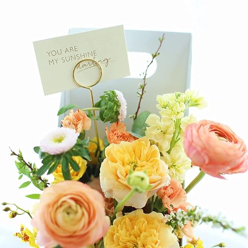 H&W 12''L Golden Ring Loop Round Shape Card Holders 40PCS Floral Picks Clips for Wedding & Flower Arrangements, DIY Craft Wire Clip Table Card Holders Note Photo Picture Memo Holder Cake Topper (Ring) - color: Ring