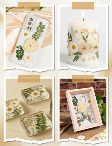 100pcs White and Light Yellow Dried Pressed Flowers Bulk, Natural Fall Pressed Dried Flowers with Tweezer for DIY Crafts Resin Mold Candles Cake Bridal Scrapbooking Supplies - size: White Flower