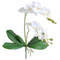 2 Branches Artificial White Phaleanopsis Flowers Faux Orchids Stems Leaves Plants for Home Bonsai Garden Decoration (White)