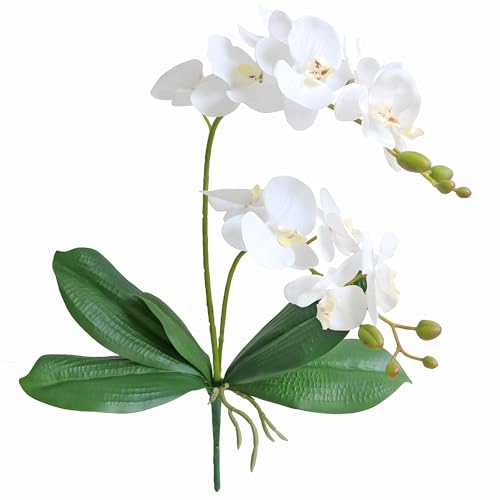 2 Branches Artificial White Phaleanopsis Flowers Faux Orchids Stems Leaves Plants for Home Bonsai Garden Decoration (White)