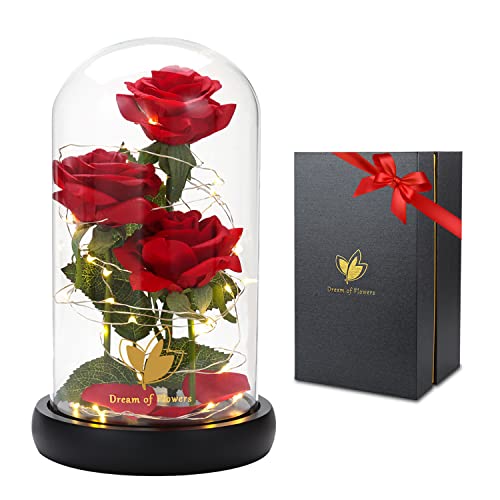 Women Gift Idea Birthday,Unique Gifts for Mom,Beauty and The Beast Rose in Glass Dome With 2 Lights Mode, Birthday Gifts for girlfriend,Wife，Anniversary Red Silk Rose Flower Gifts for Women - color: Classic Rose Red