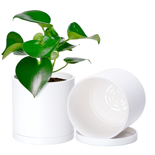 D'vine Dev 2 Pack 5 Inch Modern Plastic Plant Pots, Small Garden Planters for Plant with Drainage Holes and Saucers, White Color, 74-Z-G-1 - size: 5"