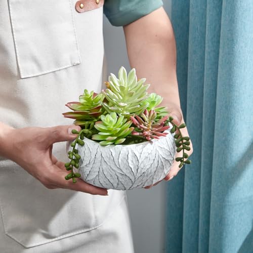 6 Inch Artificial Succulent Plant in White Ceramic Pot - Realistic Fake Succulent for Home Office Desk Bathroom Decor Coffee Table Decor - color: White, size: 6inch