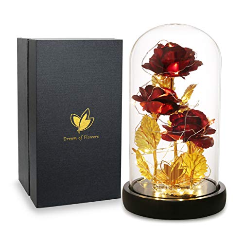 Valentine's Day Gifts for her, Eternal Rose in Glass Dome - Beauty and The Beast Inspired Keepsake, Gifts for Mom/Wife/Grandma, Preserved Roses with LED Light for Birthday/Anniversary - color: Red