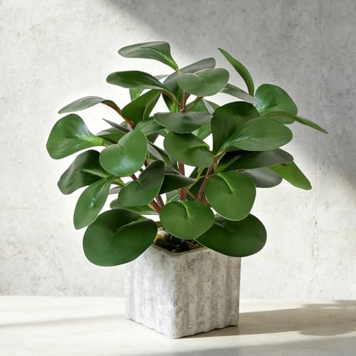 Muhanjia Artificial Potted Plant, Lifelike Faux Greenery in Decorative Cement-Look Square Pot for Indoor Home Decor Centerpieces (Peperomia) - color: Peperomia