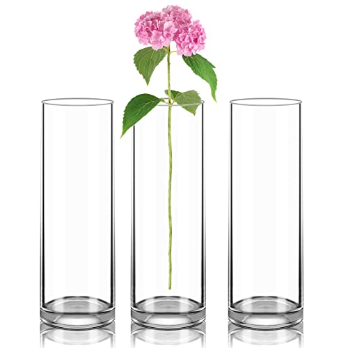 Glass Cylinder Vase 12 Inch High,Keketin Clear Glass Vases 3 Pack,Flower Vase for Table Centerpieces,Decor,Wedding Favors(4" W x 12" H) - size: 3pack-4"w x 12"h