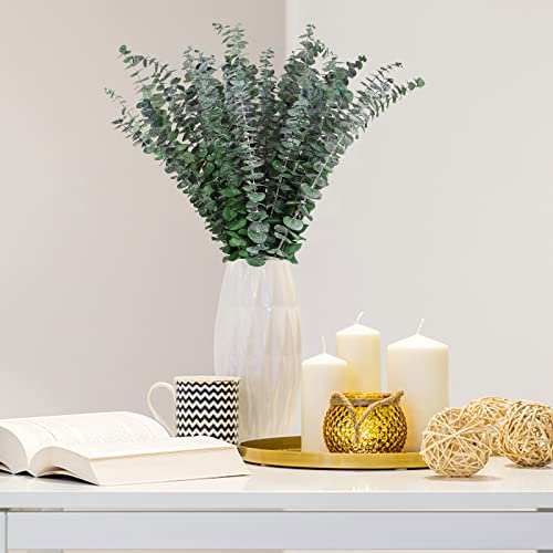 Real Dried Eucalyptus Stems, 20PCS Preserved Eucalyptus Plant 17inch Fresh Eucalyptus Greenery Plant for Vase Home Shower Wedding Festival Home Decoration - color: Green, size: 20Pcs Eucalyptus Stems