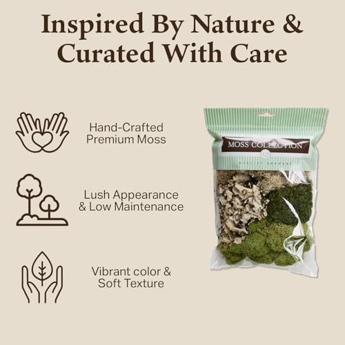 Quality Growers - The Moss Collection Variety Pack - Natural Decorative Moss - Crafts, Home Decor, Art, Design & DIY Projects - Non-Toxic - Made in USA - Original, Small, 2-Pack - color: Original, size: Small (2-Pack)