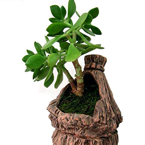 TOPCOMWW Fake Moss for Centerpieces Decor, Aftificial Green Moss for Plant Crafts Flower, 3.5oz - color: Green - 3.5oz