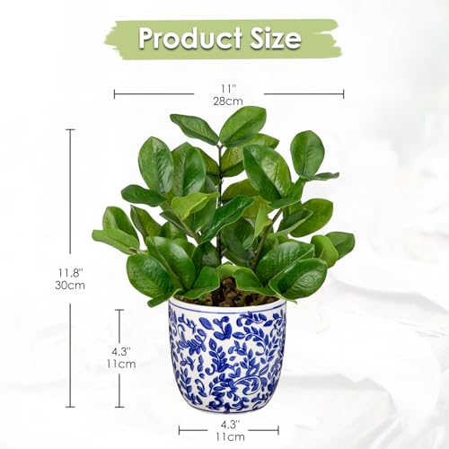 Briful Faux Plants Indoor 11.8in Fake ZZ Silk Plant in Blue and White Ceramic Pot Realistic Artificial Tropical Plant for Home Office Room Kitchen Shelf Decor - color: Small Size-blue and White Pot